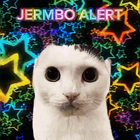 SIGHTING #005: JERMBO DETECTED